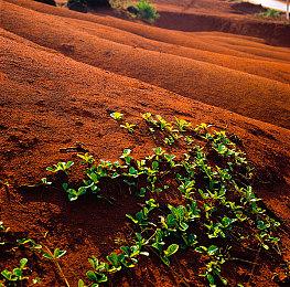 叙事冒险游戏《抑郁的房间》现已在Steam发售